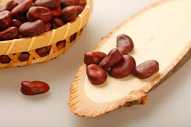 城市建设《工人与资源：苏维埃共和国》2024年正式推出